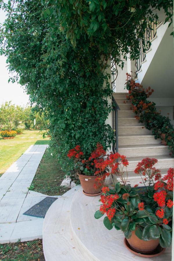 Luce Di Sole Apartment Ulcinj Ngoại thất bức ảnh