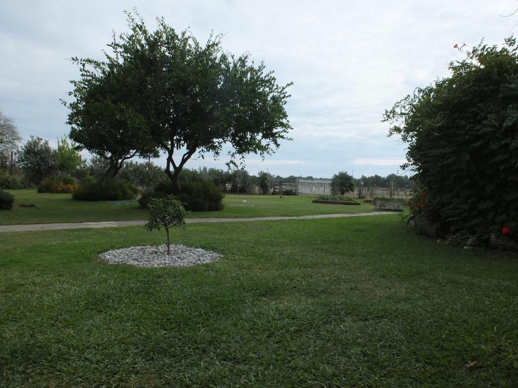 Luce Di Sole Apartment Ulcinj Ngoại thất bức ảnh
